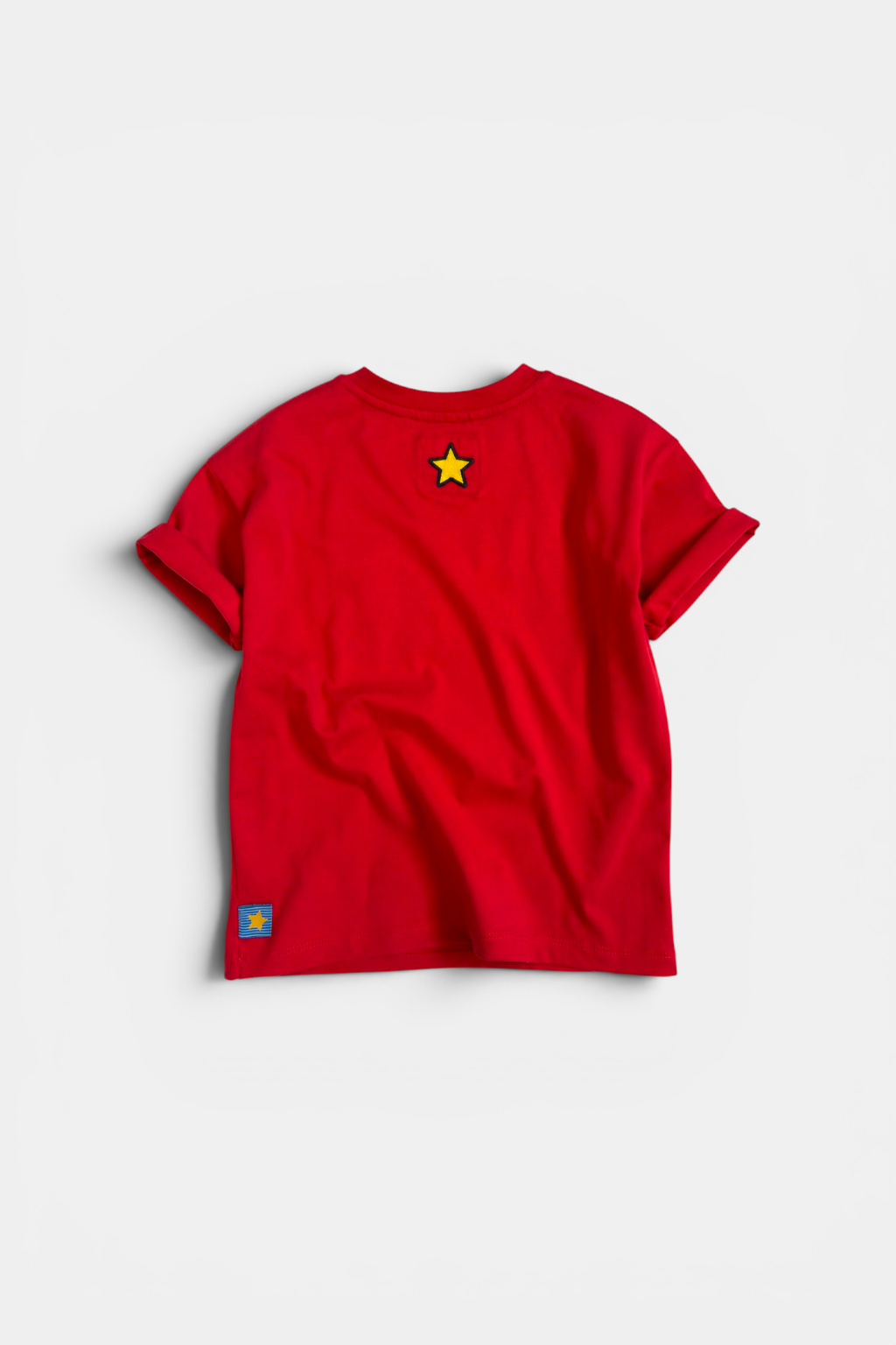 Boys Red Embroidered T-Shirt