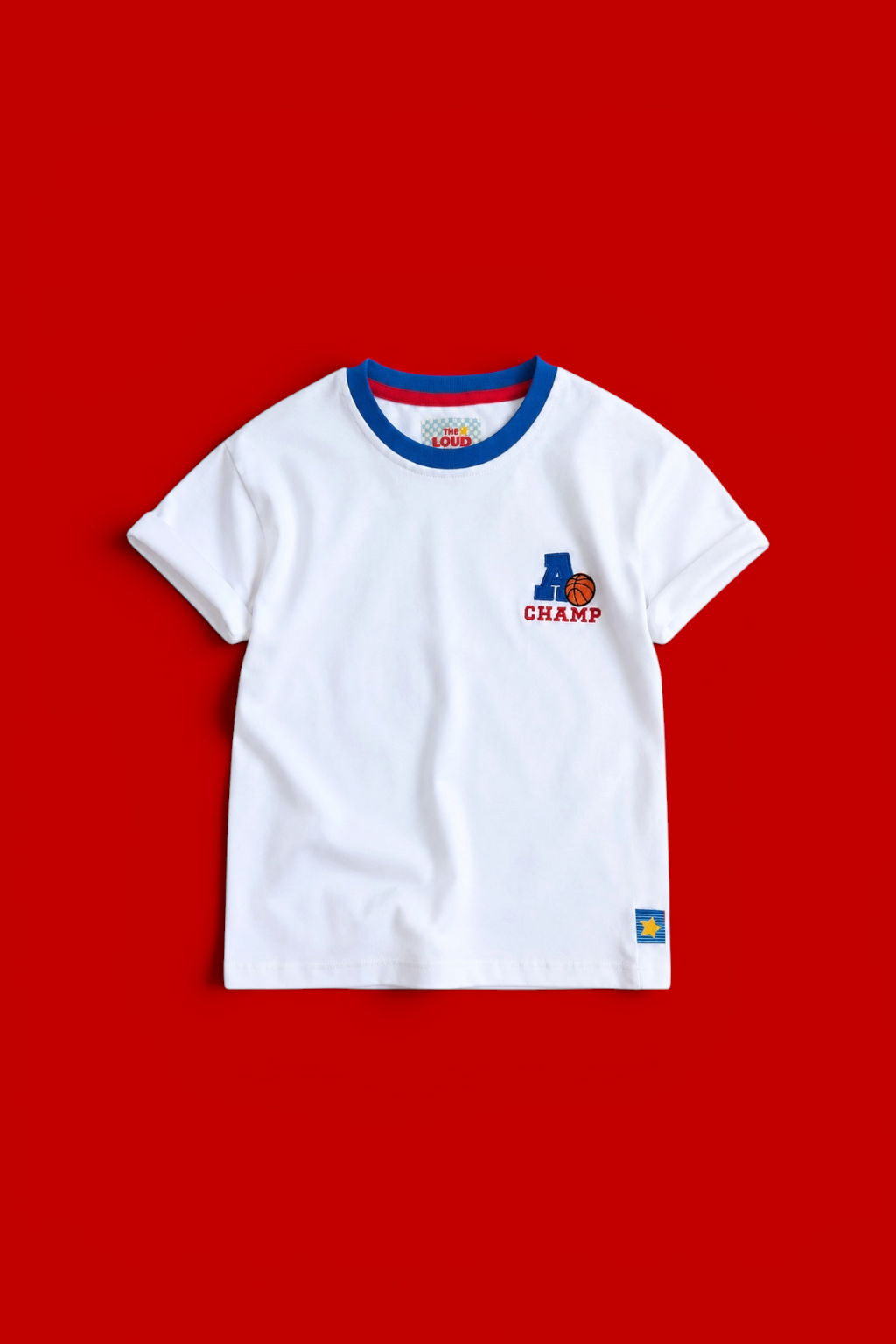 Boys White Embroidered T-Shirt with Blue Rib Neck