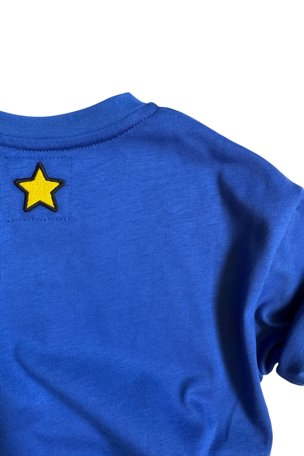 Boys Blue Embroidered T-Shirt