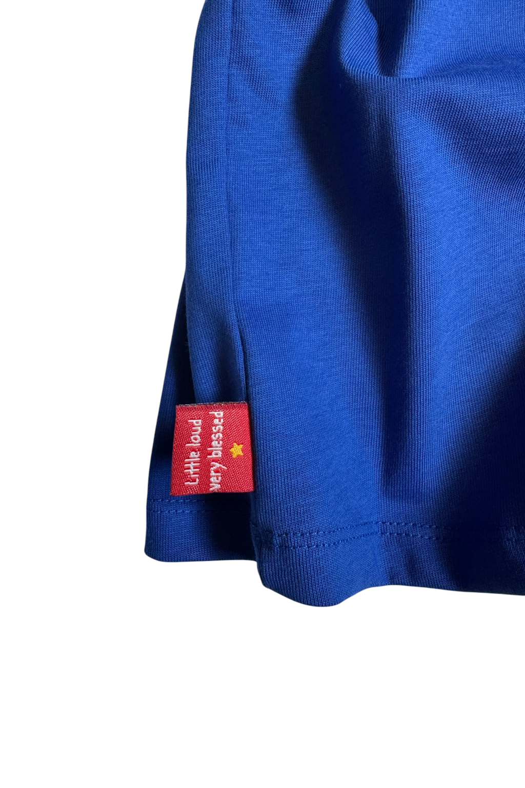 Boys Blue Embroidered T-Shirt