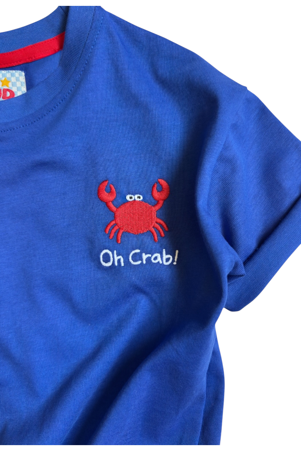 Boys Blue Embroidered T-Shirt