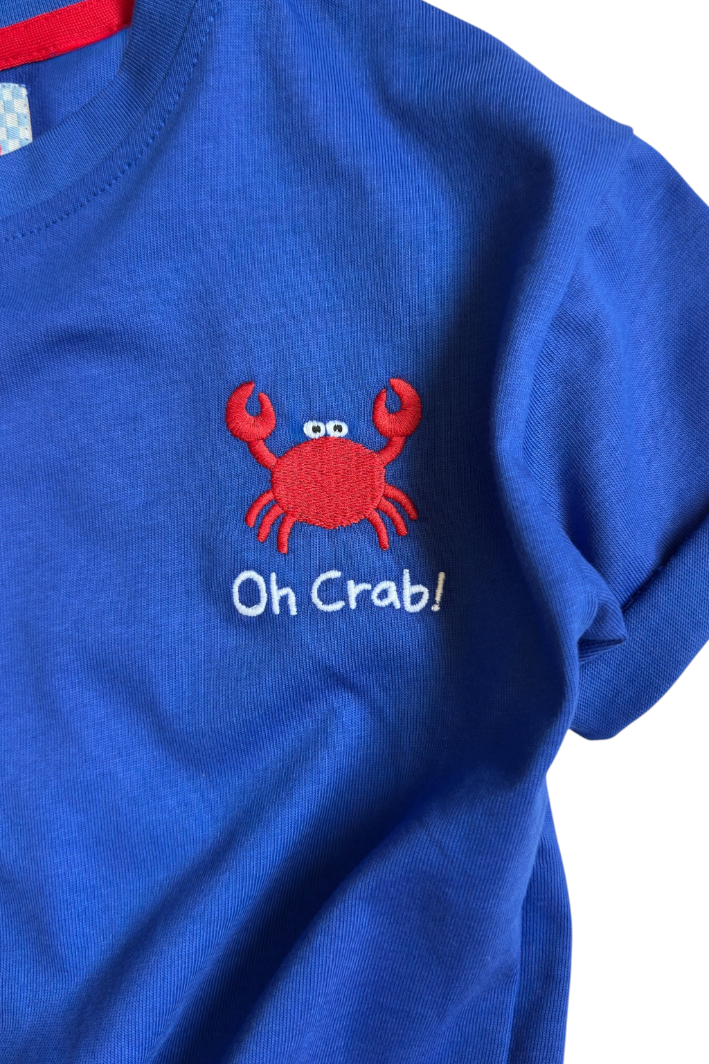 Boys Blue Embroidered T-Shirt