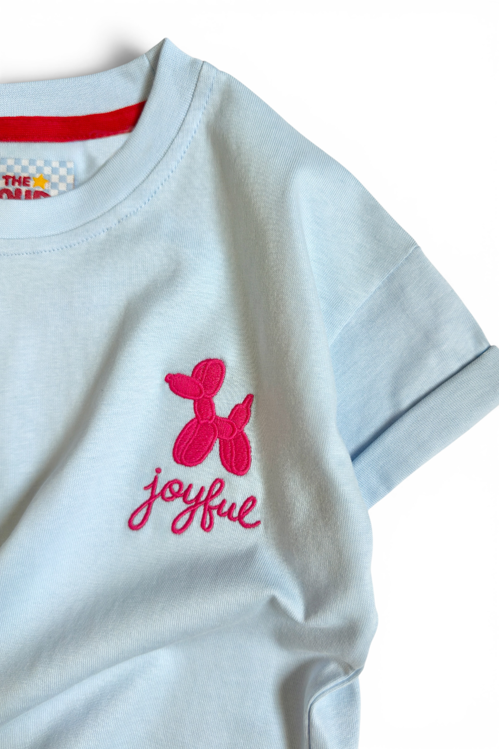 Girls Light Blue Embroidered T-Shirt